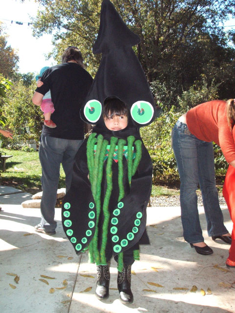 squidDSCF1415.jpg