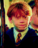 tumblr_ls3k8tUDcB1qhd14co1_250.gif