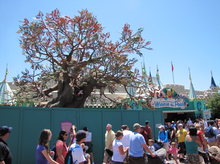 IMG_7666.jpg