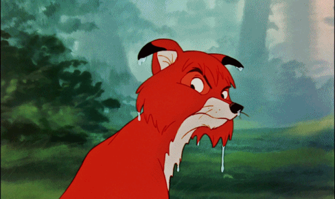 tumblr_mlj6a5PQ7Z1r0qp6so1_500.gif