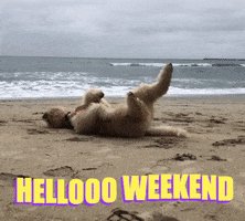 Cliveandbacon GIFs - Get the best GIF on GIPHY