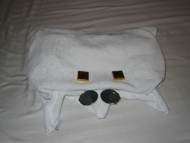 towel_animal_one.jpg