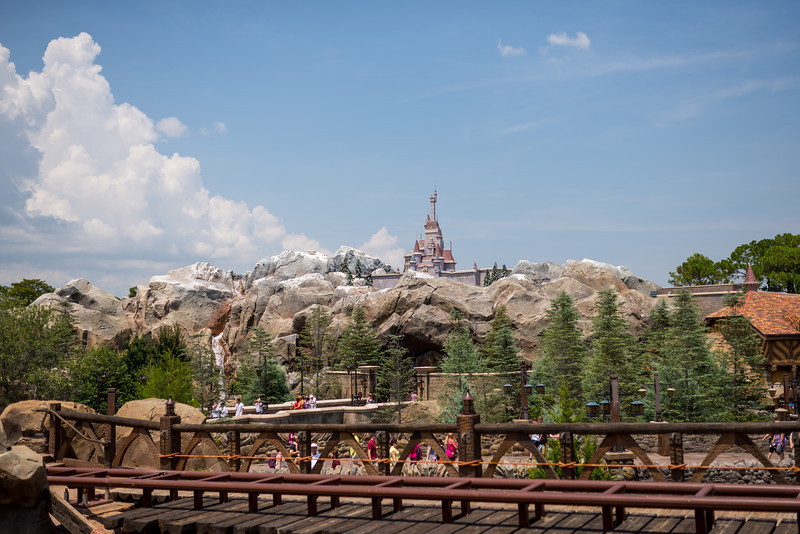 DSC_8891-L.jpg