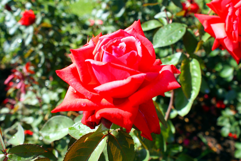 598206604_fJj8Q-L.jpg