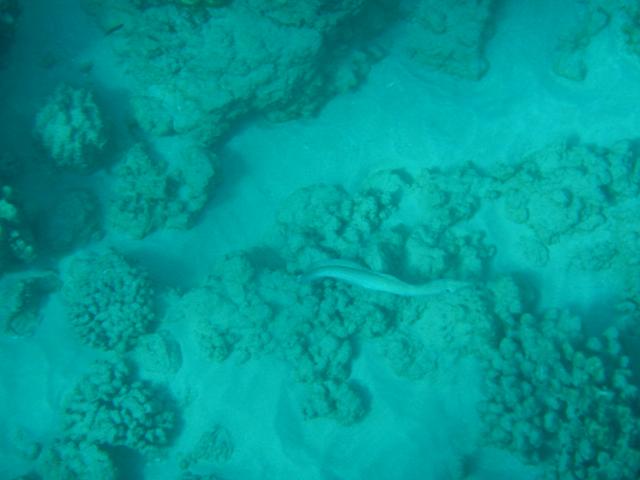 DSCN0819.jpg