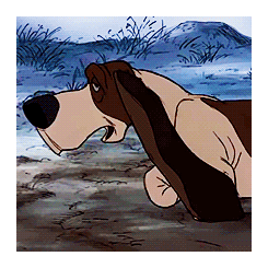 tumblr_ntsqbhJ2Aa1sgolmbo1_250.gif