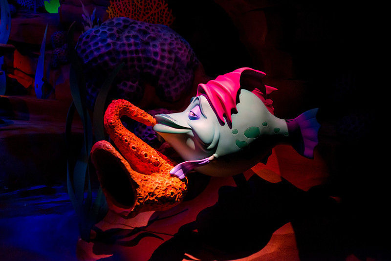DSC_3537-L.jpg