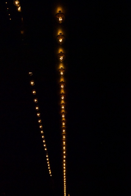 dl-night-26.jpg