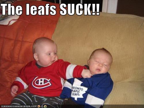 leafs-suck.jpg