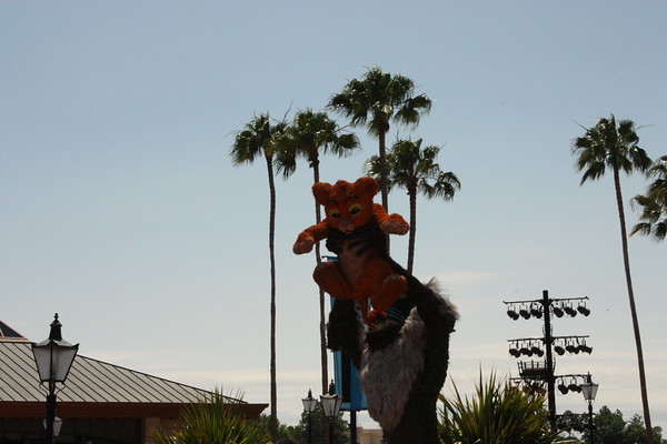 513937306_g7B7S-M.jpg