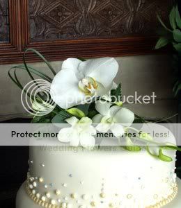 phalaenopsis-wedding-cake.jpg