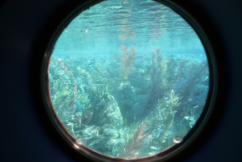 IMG9241-L.jpg