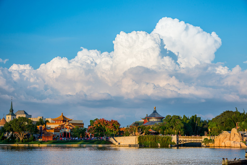 DSC_0351-L.jpg