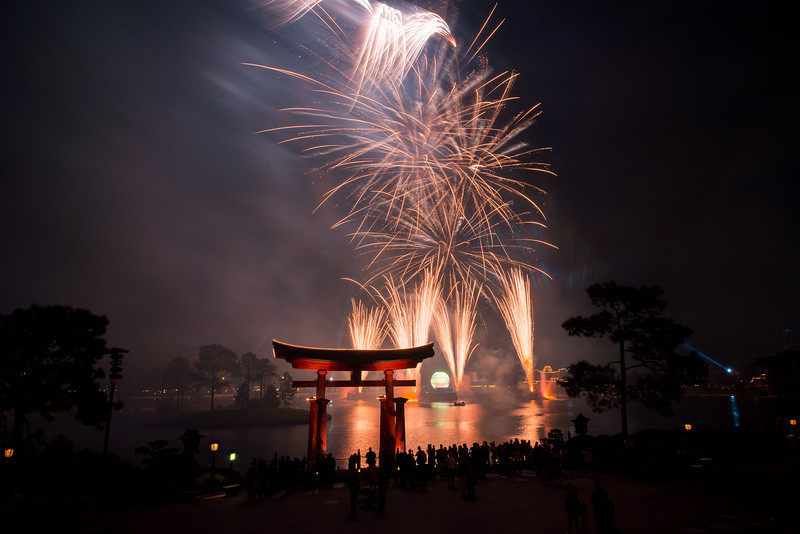 DSC_6247-L.jpg