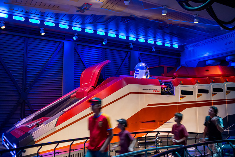 DSC_3920-L.jpg