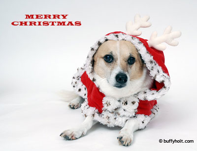 MerryChristmas.jpg