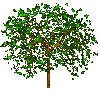 AF2FlowersTree021.gif
