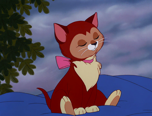 tumblr_m7qx754USL1rycybeo1_500.gif