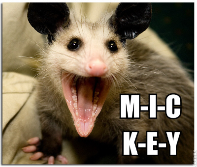 possumlol1.jpg
