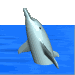 3d_dolphin.gif