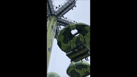 giphy.gif