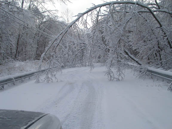 Road.jpg