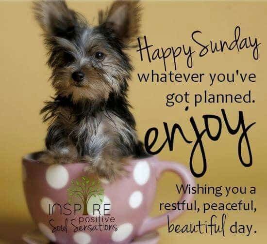 sunday-quotes-happy.jpg