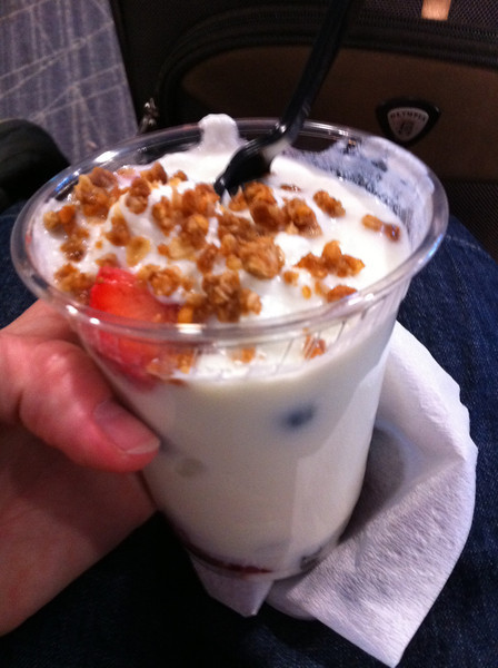 IMG2903-L.jpg