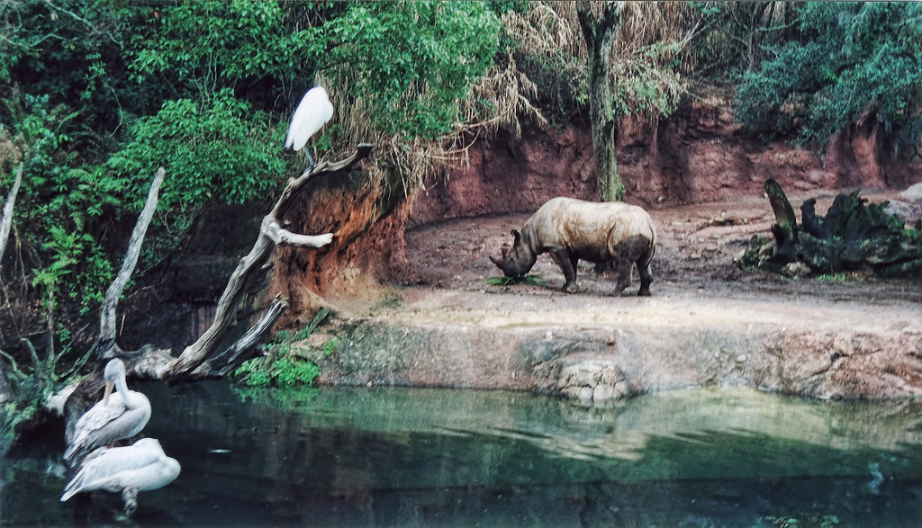 AK-Safari-03-XL.jpg