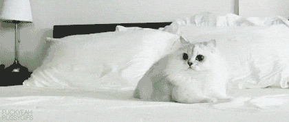 tumblr_lncho2aDvY1qclt3z.gif