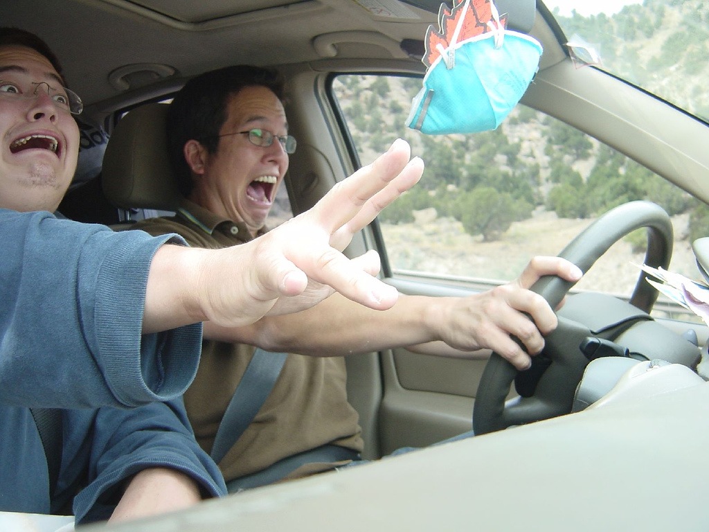 learning-to-drive_2.jpg