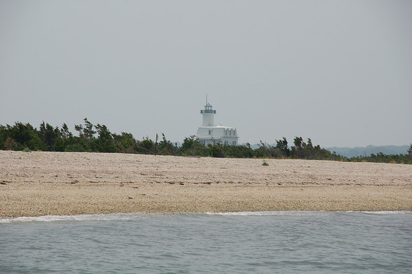 339289896_ag9bH-M.jpg