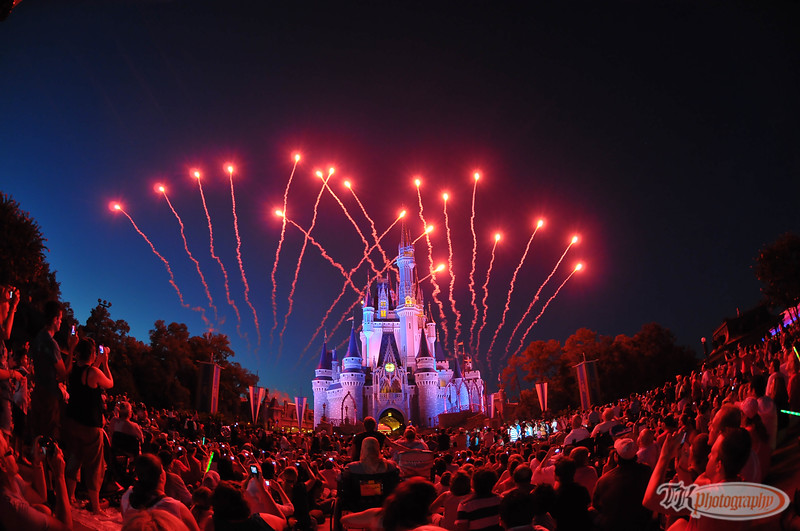 DSC2506-L.jpg
