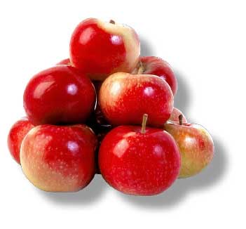 apples22.jpg