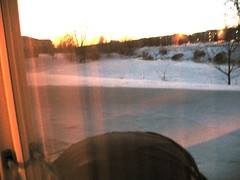 2308404765_f62e54c7ea_m.jpg