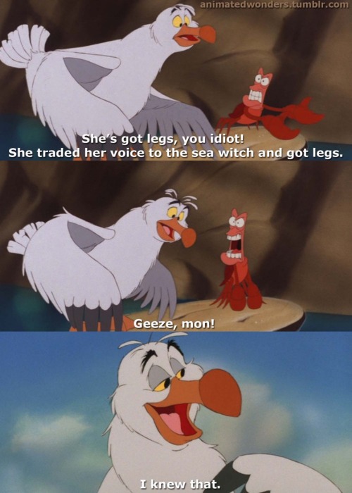 tumblr_lk9m84ZMQN1qh7vpao1_500.jpg