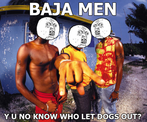 tumblr_lbefkewNV91qdhmifo1_500.jpg