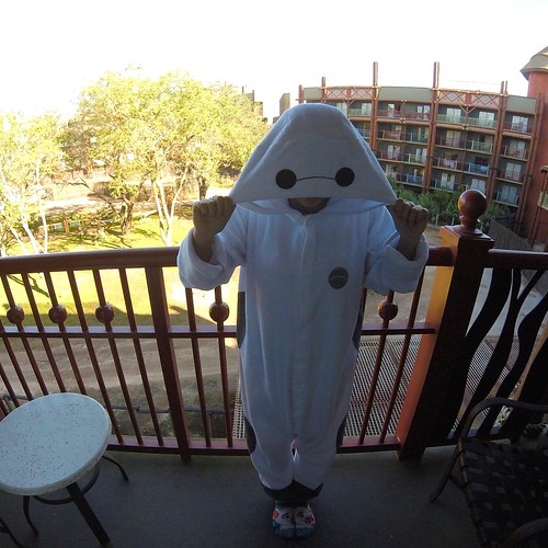 27115959187_d2e34f3dab.jpg