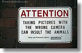 funny-camera-sign.jpg