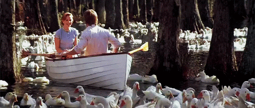 82504348.gif