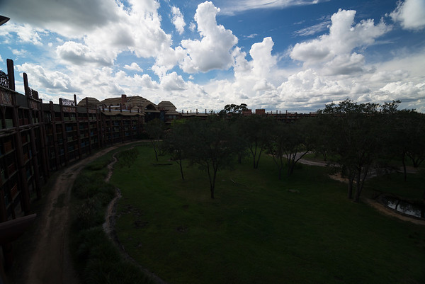 DSC_2247-M.jpg