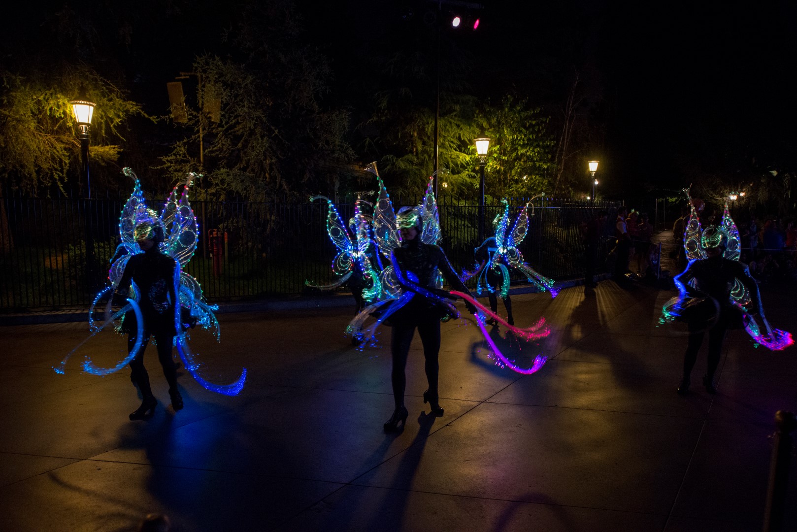 DSC_4369%20(Large).jpg