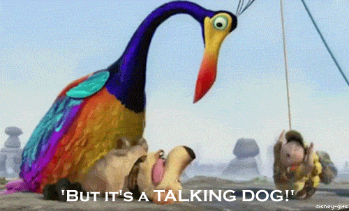 tumblr_lld3foYR3x1qg64aho1_500.gif