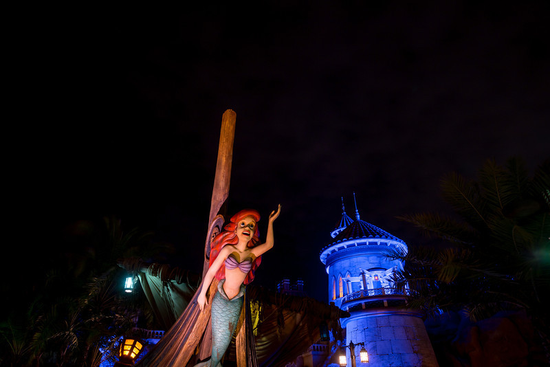 DSC_1499-L.jpg