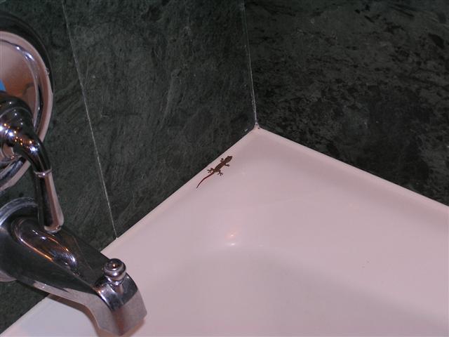 P1010321.JPG