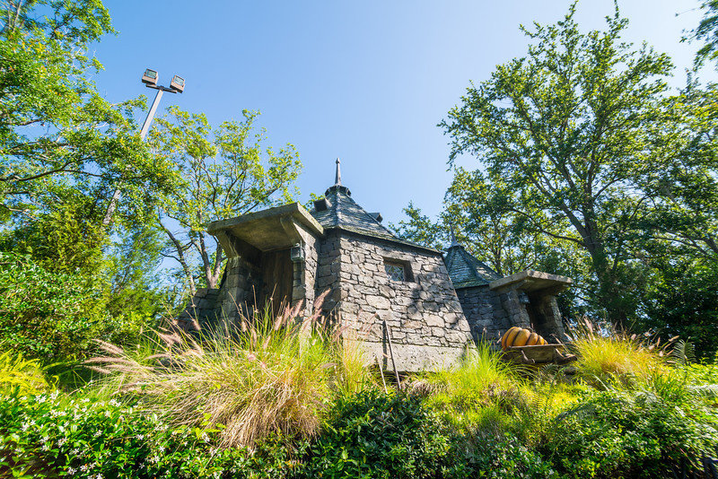 DSC_2748-L.jpg