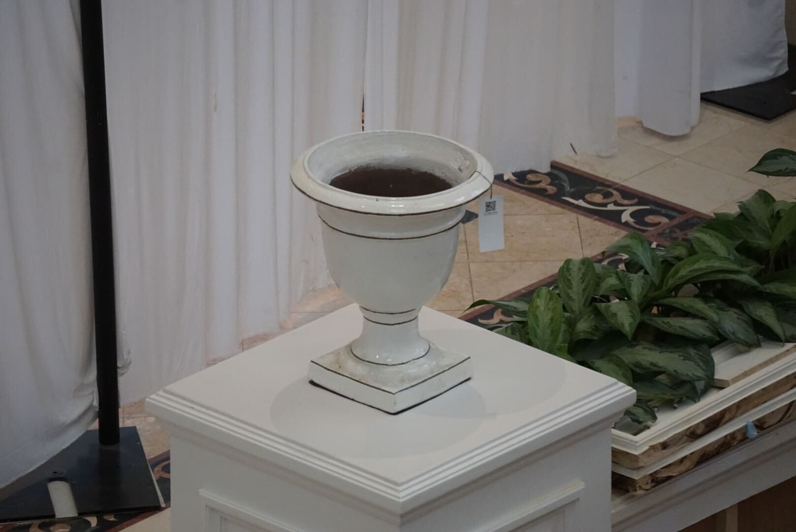A white ceramic urn with dark liquid sits by green plants and white curtains, reminiscent of the Grand Floridian at Walt Disney World.
