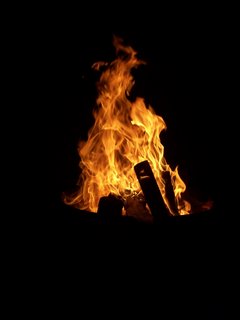 000_0087.jpg