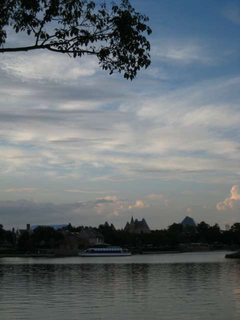 IMG_7294.jpg