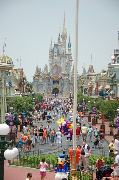 349052331_EtSX7-L.jpg
